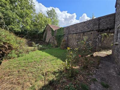 Picture 24